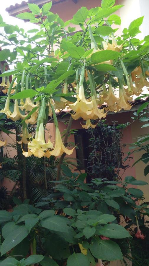 Eco Pousada Jardim Do Eden Алту-Параизу-ди-Гояс Экстерьер фото