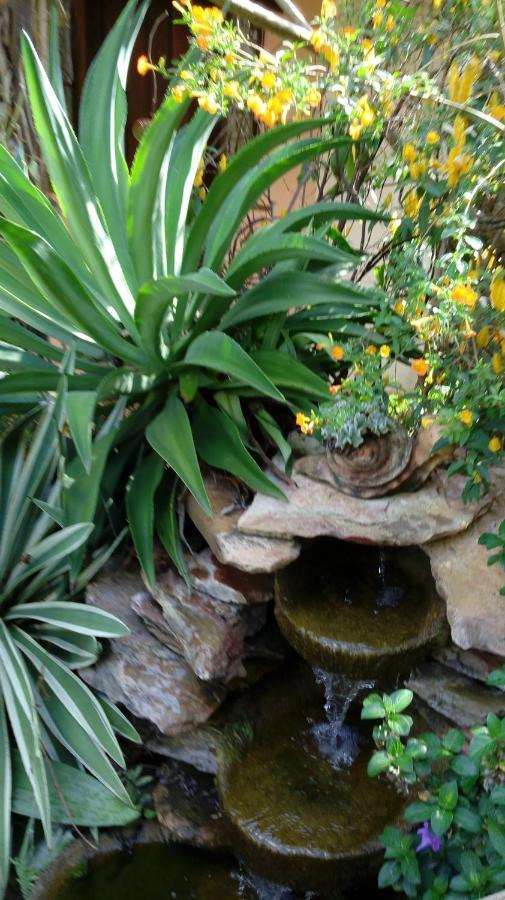 Eco Pousada Jardim Do Eden Алту-Параизу-ди-Гояс Экстерьер фото